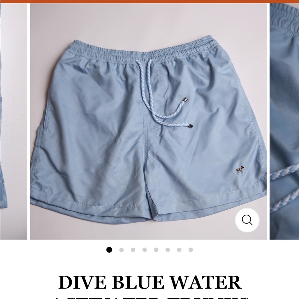 Southern Point co swim trunks